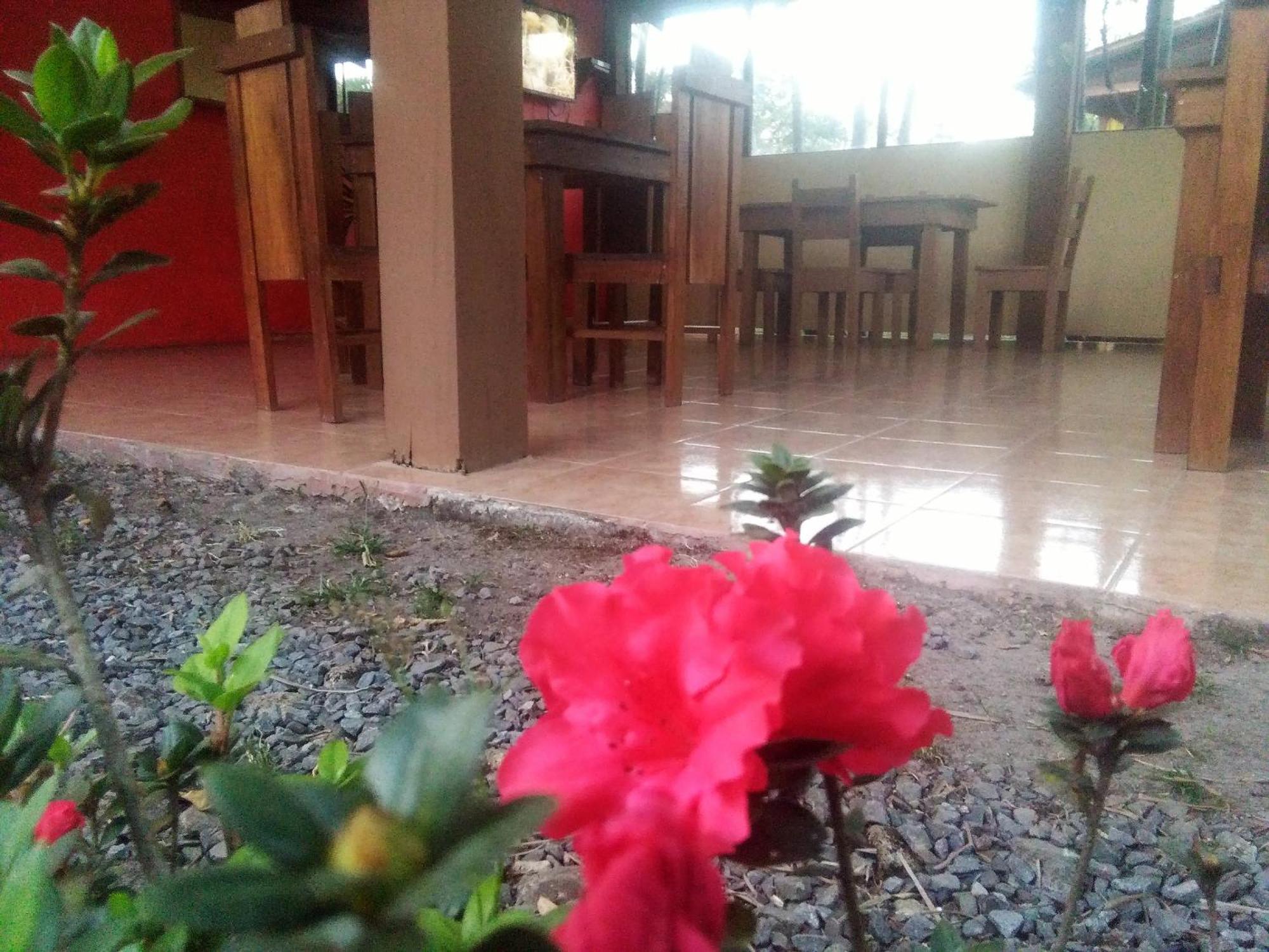 Upala Slow Travel Lodge מראה חיצוני תמונה